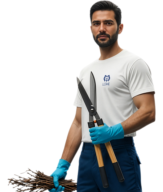 Profesional Lowe para jardinería y zonas verdes