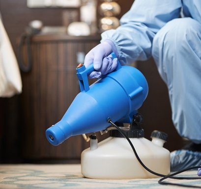 Servicio de control de plagas de Lowe en Murcia
