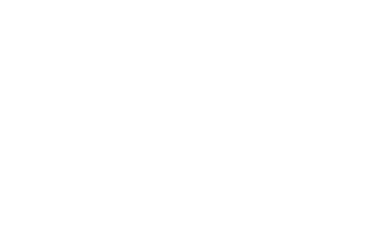 Pimursa